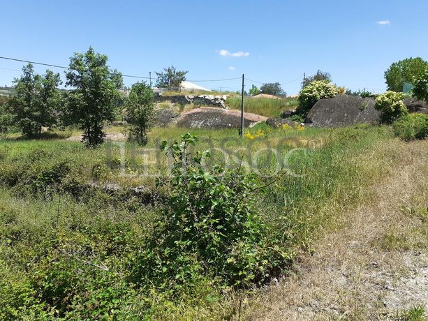 1/2 de Terreno + 1/2 de Terreno · Sernancelhe, Viseu