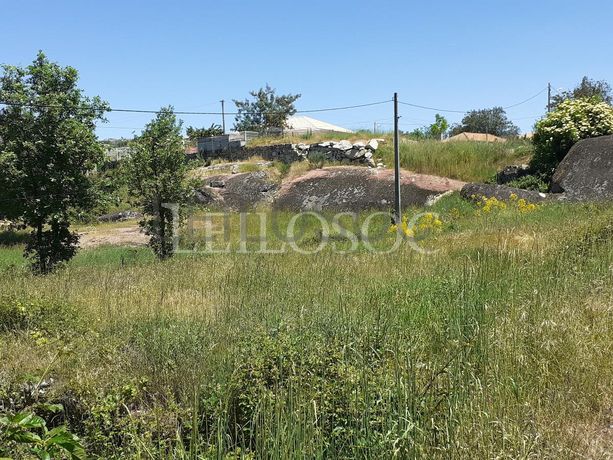 1/2 de Terreno + 1/2 de Terreno · Sernancelhe, Viseu