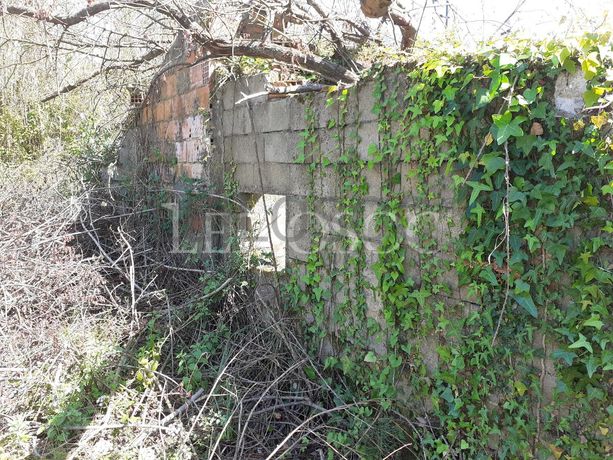 Terreno · Sangalhos