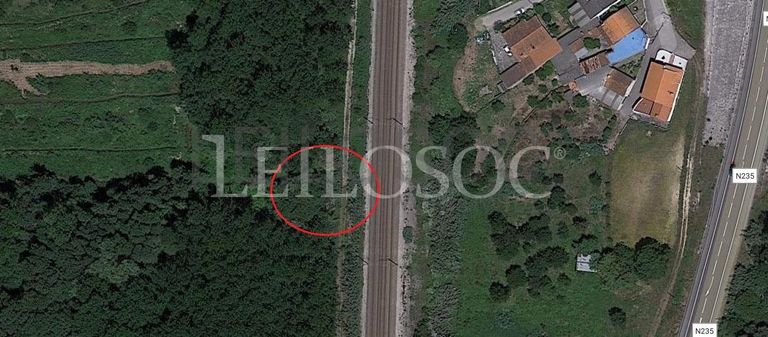 Terreno · Sangalhos