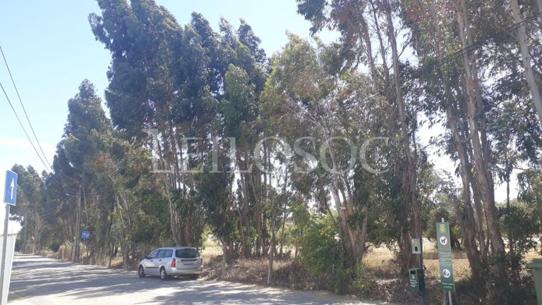 Quinhão Hereditário de Moradia V3 · Évora