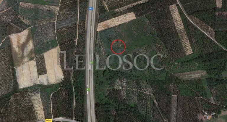 Terrenos · U. F. de Cambra e Carvalhal de Vermilhas, Vouzela