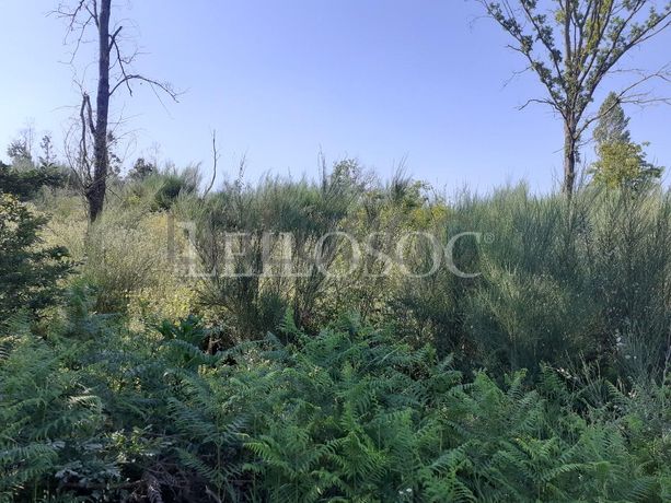 Terrenos · U. F. de Cambra e Carvalhal de Vermilhas, Vouzela