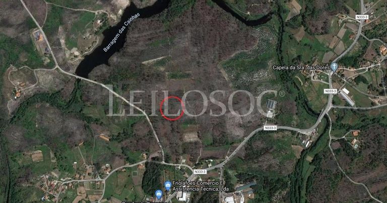 Terrenos · U. F. de Cambra e Carvalhal de Vermilhas, Vouzela