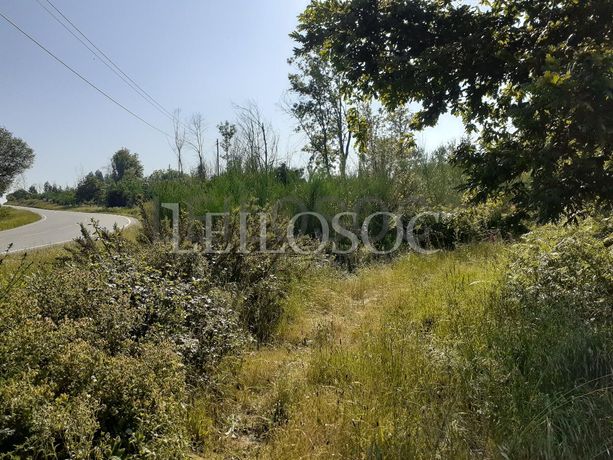 Terrenos · U. F. de Cambra e Carvalhal de Vermilhas, Vouzela