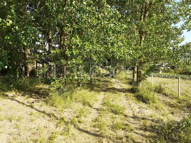 Terrenos · U. F. de Vouzela e Paços de Vilharigues, Vouzela