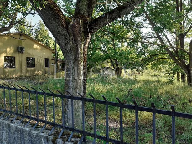 Terrenos · U. F. de Vouzela e Paços de Vilharigues, Vouzela