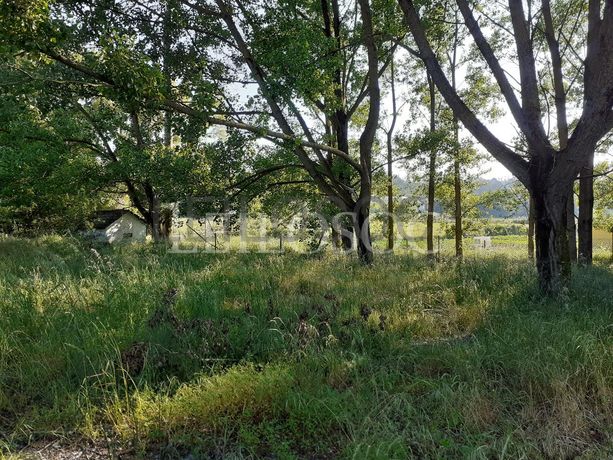 Terrenos · U. F. de Vouzela e Paços de Vilharigues, Vouzela