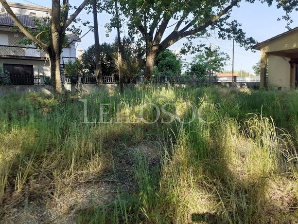 Terrenos · U. F. de Vouzela e Paços de Vilharigues, Vouzela