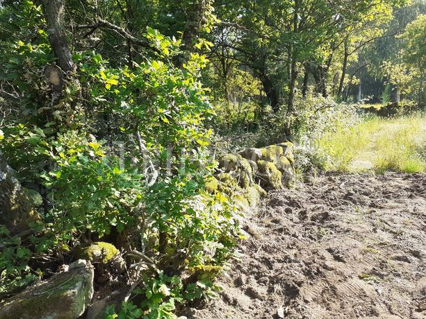 Terrenos · U. F. de Vouzela e Paços de Vilharigues, Vouzela