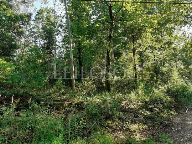 Terreno · Oliveira de Frades