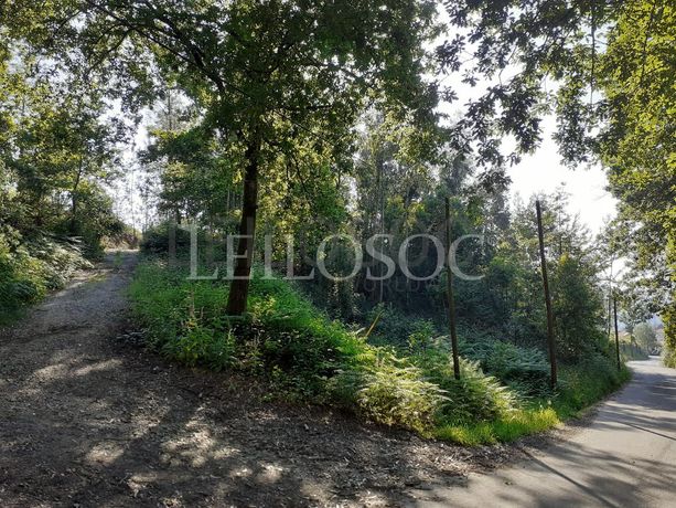 Terreno · Oliveira de Frades