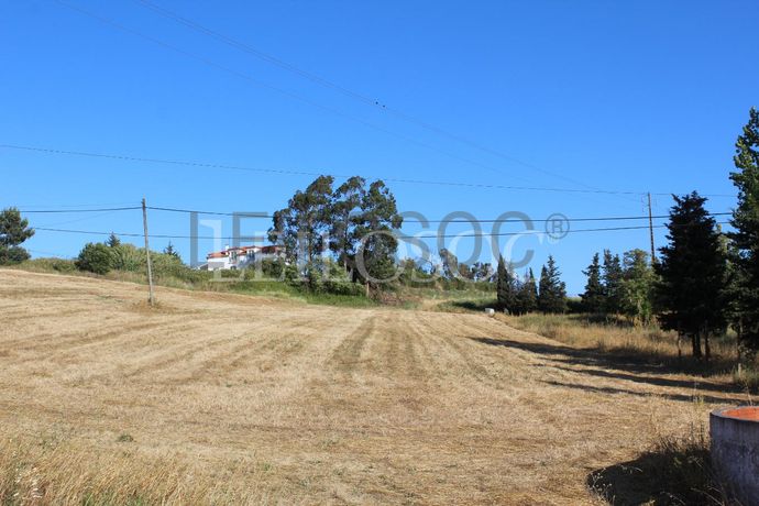 Proporção de 1/2 de Terreno · Azambuja