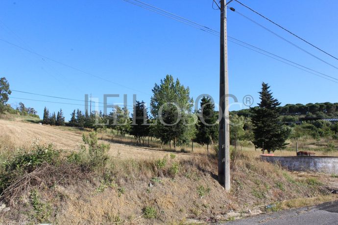 Proporção de 1/2 de Terreno · Azambuja