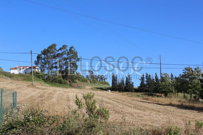 Proporção de 1/2 de Terreno · Azambuja