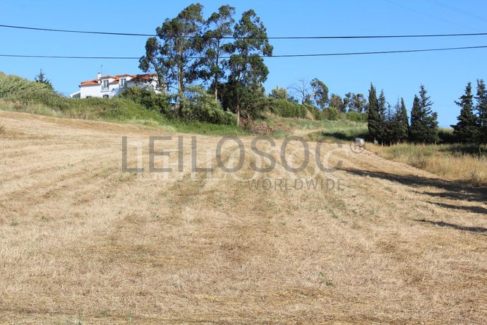 Proporção de 1/2 de Terreno · Azambuja