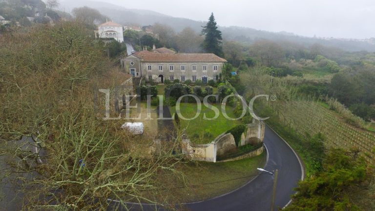 Quinta Secular · 4ha · Sintra