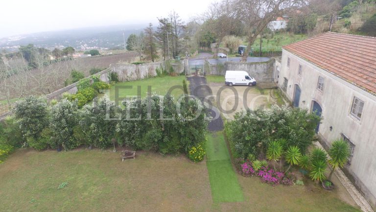 Quinta Secular · 4ha · Sintra