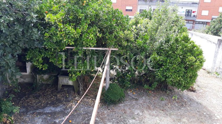 Quinhão Hereditário · Nelas - Viseu