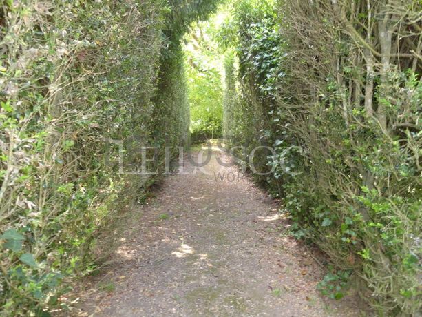 Quinta Secular · 4ha · Sintra