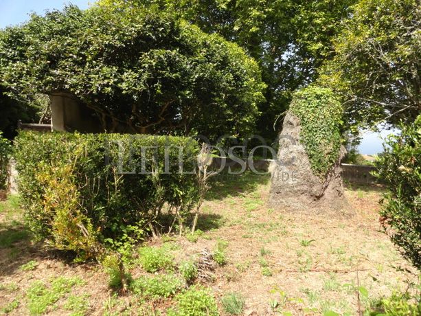 Quinta Secular · 4ha · Sintra