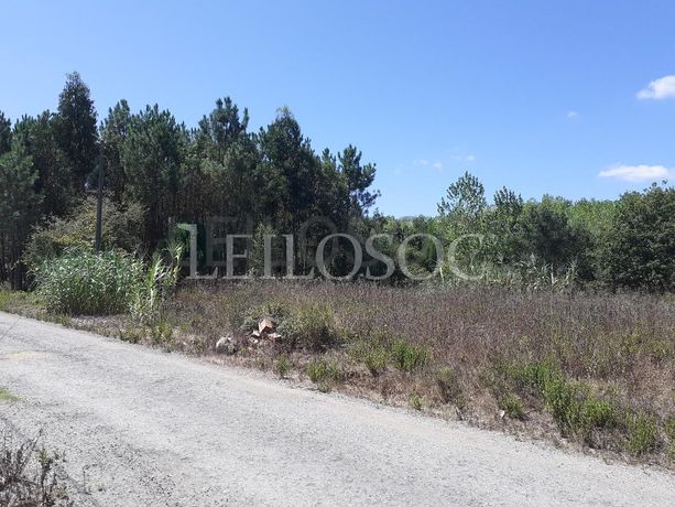 Terreno · Oliveira do Bairro