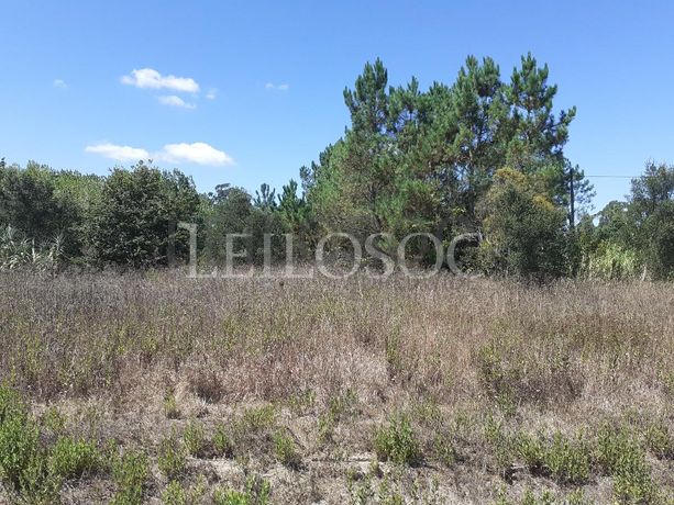 Terreno · Oliveira do Bairro