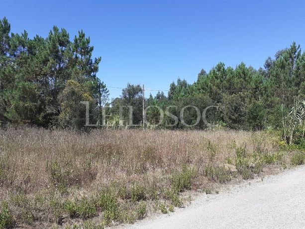 Terreno · Oliveira do Bairro