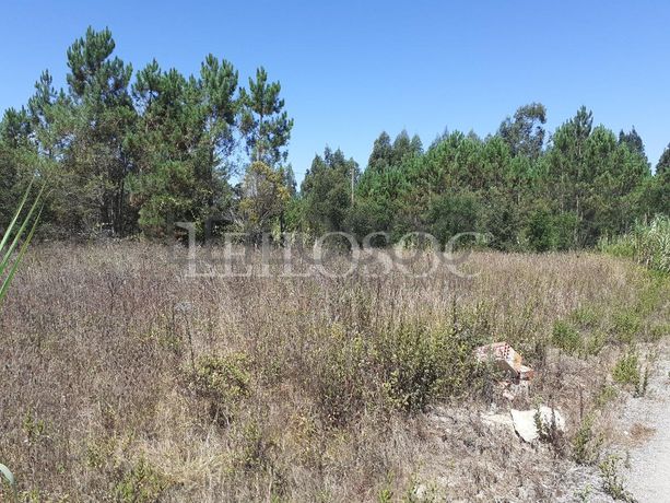 Terreno · Oliveira do Bairro