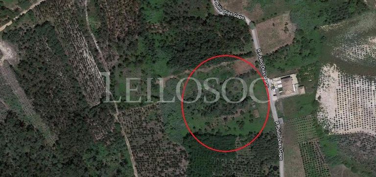 Terreno · Oliveira do Bairro