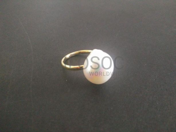 Lote 06 - Verbas 224 a 305