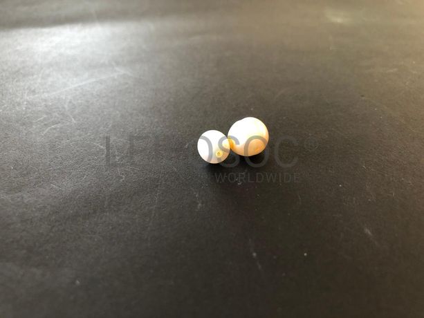 Lote 10 - Verbas 427 a 542