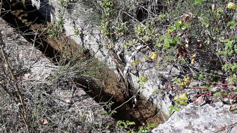 1/3 de Terreno · Ourém