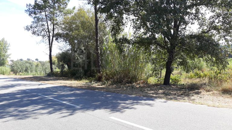 1/3 de Terreno · Ourém