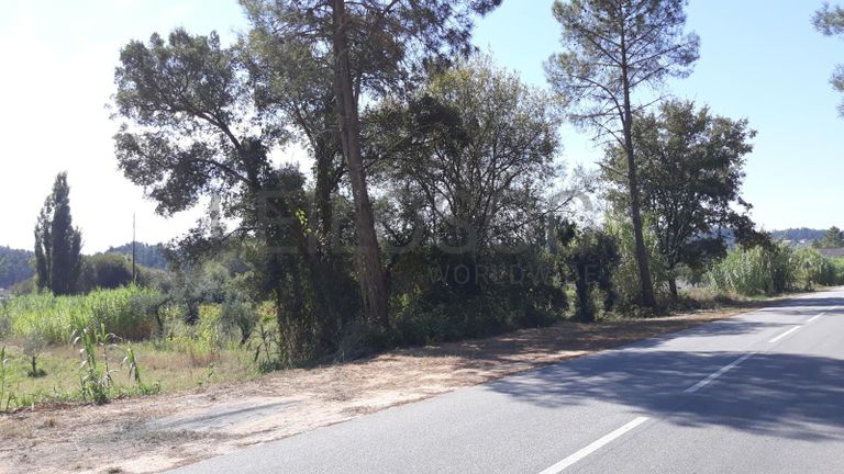 1/3 de Terreno · Ourém