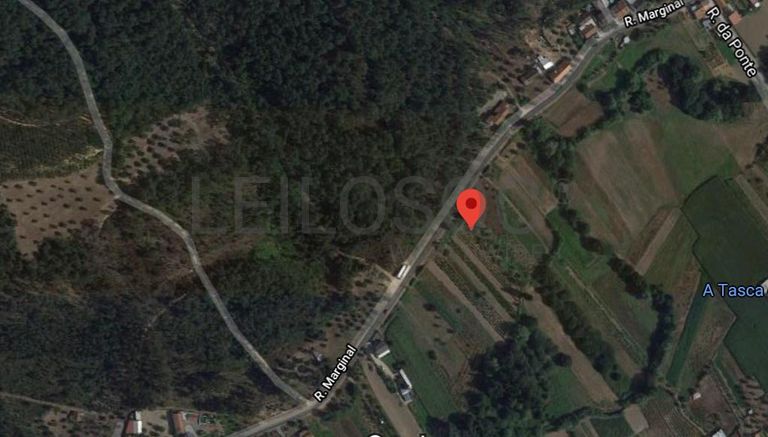 1/3 de Terreno · Ourém