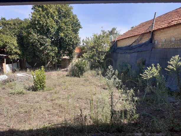 Moradia V3 + Anexos + Logradouro · Anadia