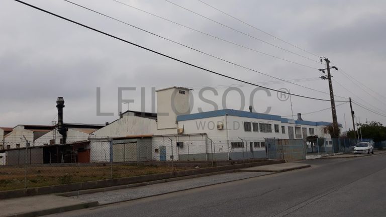 Armazém Industrial · Vila Chã de Ourique - Cartaxo