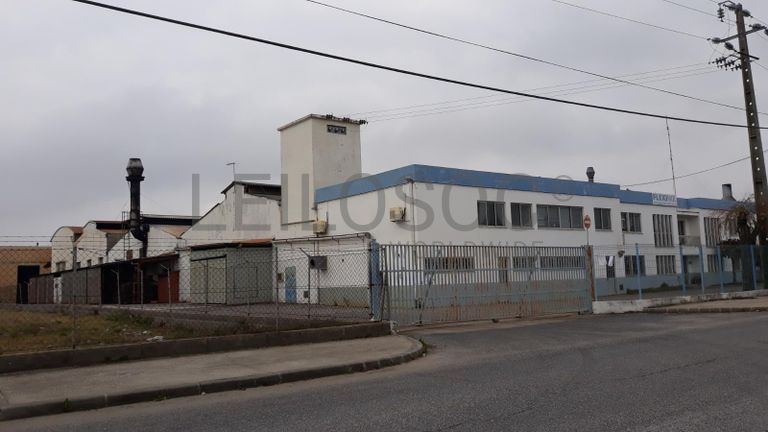 Armazém Industrial · Vila Chã de Ourique - Cartaxo