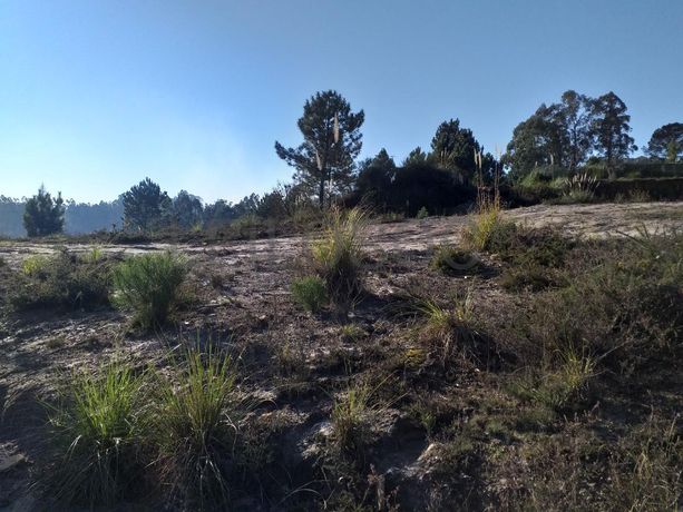 Lote para Construção · Vila Nova de Gaia