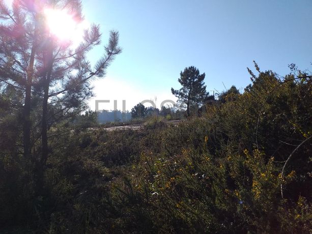 Lote para Construção · Vila Nova de Gaia