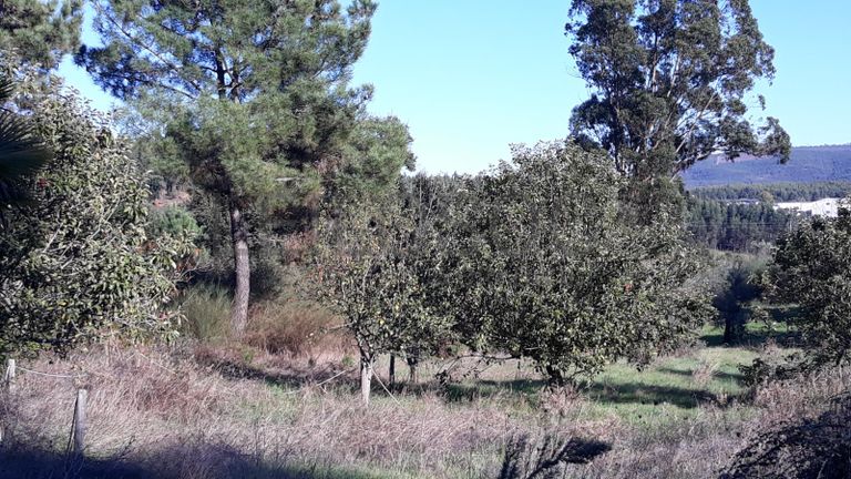 Moradia V2 com Terreno · Ferreira do Zêzere, Santarém