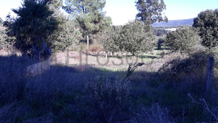 Moradia V2 com Terreno · Ferreira do Zêzere, Santarém