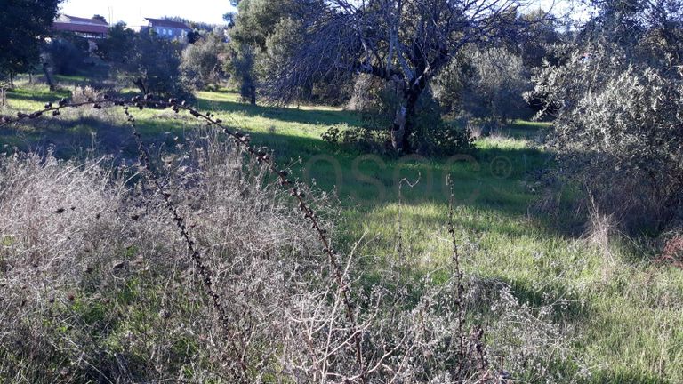 Moradia V2 com Terreno · Ferreira do Zêzere, Santarém