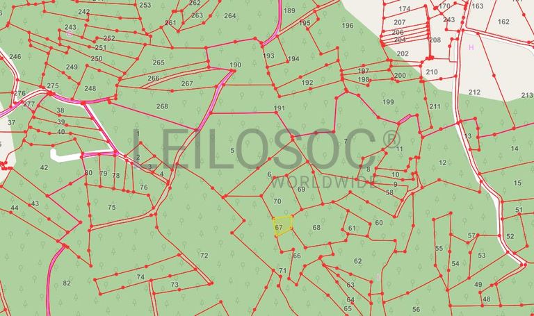 Terreno · Ferreira do Zêzere, Santarém