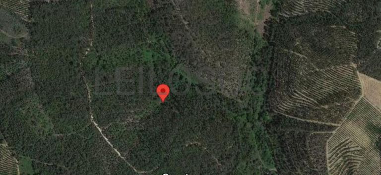 Terreno · Ferreira do Zêzere, Santarém