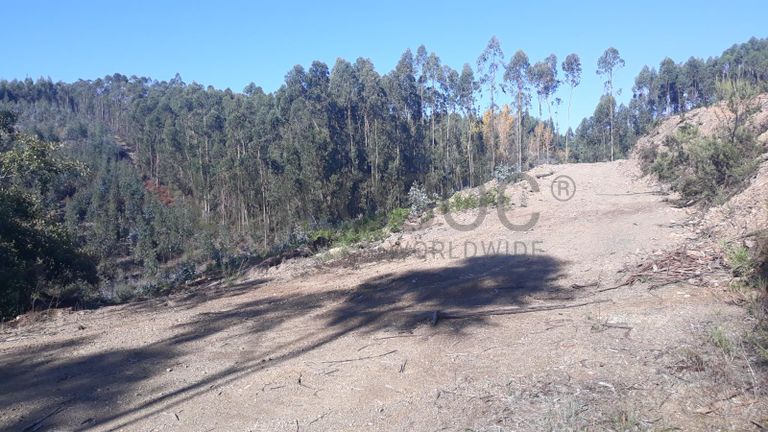 Terreno · Ferreira do Zêzere, Santarém