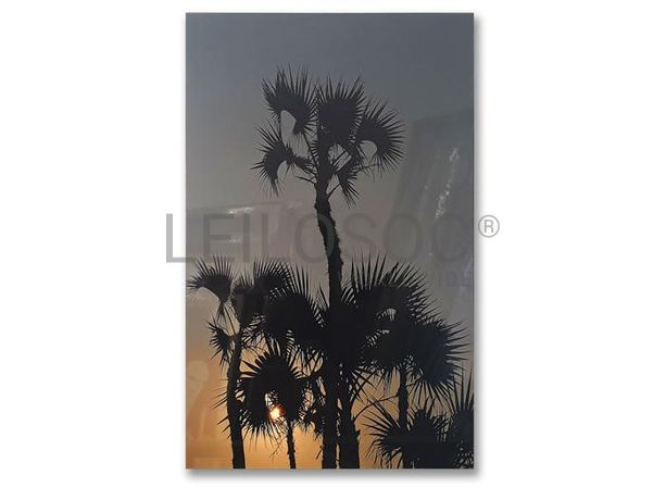 "Sem Título" · João Martins Pereira