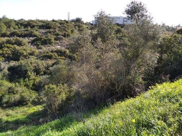 Terreno para Construção