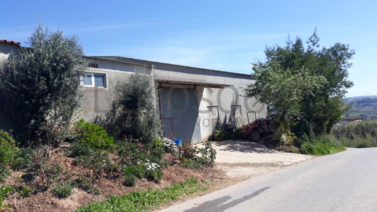 Quinhão Hereditário · Caldas da Rainha